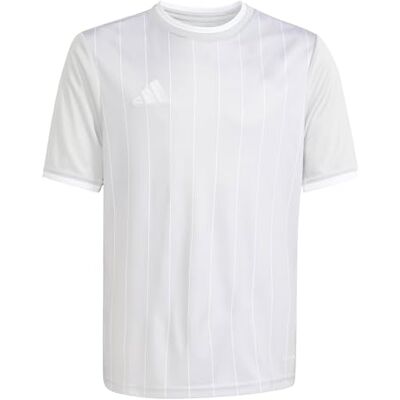 Adidas Unisex Bambini e Ragazzi Entrada26 Graphic Jersey Kids Shirt, Team Light Grey/White, 13-14 Years Adidas Unisex Bambini e Ragazzi Entrada26 Graphic Jersey Kids Shirt, Team Light Grey/White, 13-14 Years
