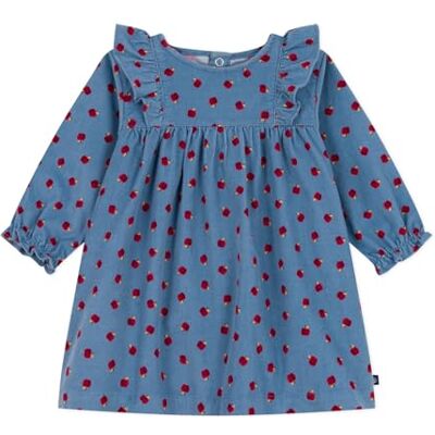 Petit Bateau Abito da Bambina in Velluto a Costine a Maniche Lunghe con Stampa di Mele A0e5s01 (Confezione da 1), Blu Multicolore, 3 Anni Petit Bateau Abito da Bambina in Velluto a Costine a Maniche Lunghe con Stampa di Mele A0e5s01 (Confezione da 1), Blu Multicolore, 3 Anni
