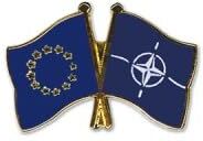 Generisch Amicizia pins EU Nato – Bandiera dell'Europa – Spilla in metallo, Smalto duro