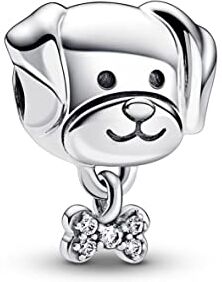 Pandora Charm Moments  Cane da compagnia