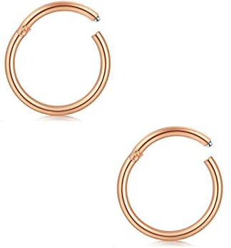 AceFun 18G 1mm Clicker Conchiglia Daith Orecchino Cerchio Incernierato Segmento Senza Soluzione di continuità Setto Bar Labbro Naso Bar Anelli Clicker 2Pcs 14mm Oro Rosa