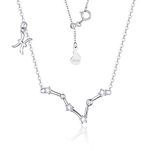 SIMPLGIRL SIMPLOVE 12 Oroscopo da Donna in Argento Sterling 925 Collana Segno Zodiacale Ciondolo Collana Costellazione Regalo di Compleanno