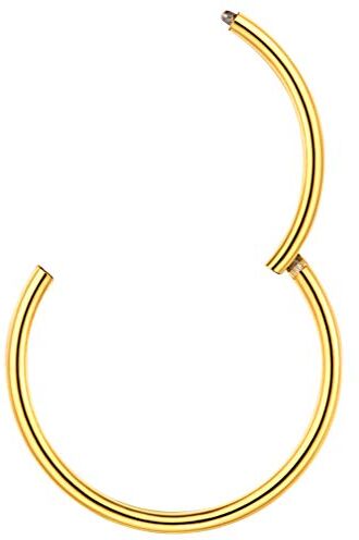 PROSTEEL Piercing Naso Libbra Orecchino 20G Gauge Cerchio di Naso Libbra Piercing Hoop, Diametro 7 mm, Acciaio Inossidabile Placcato Oro 18K, Oro (Confezione Regalo)