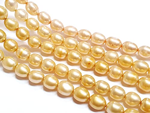 Perlin e d'acqua dolce da infilare, perle coltivate d'acqua dolce, piccole pietre barocce, perle di conchiglia (giallo gesso, 6 mm)