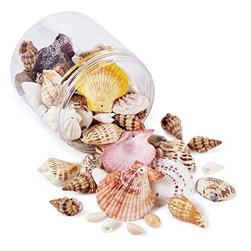 PH PandaHall PandaHall 135 perline a spirale naturali con filo di cristallo da 0,8 mm, forme miste, oceano Cowrie Shell perline per serbatoio di pesce vaso Filler Decor