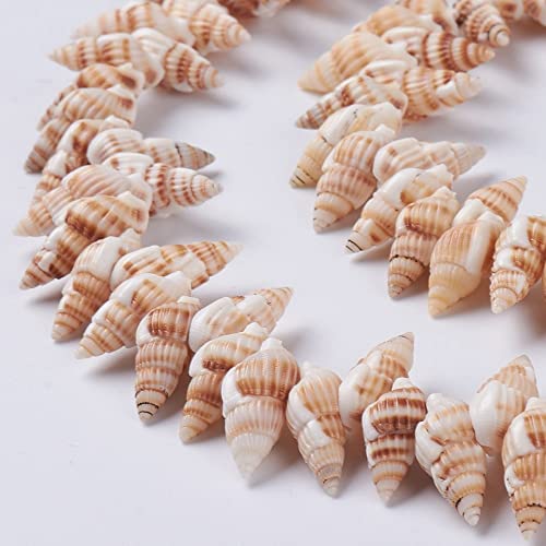 Boutigem Perline a spirale naturali Ocean Sea Shell perline fili per la creazione di gioielli fai da te estate spiaggia braccialetto collana orecchino artigianato decorazione