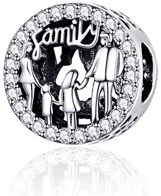 Annmors I Love My Family Charms Charm in argento Sterling 925 con zirconia cubica, idea regalo per donne europee, mamme e figlie