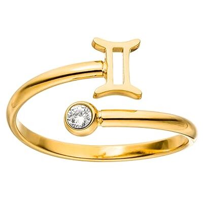Purelei ® Anello con segno zodiacale – Anello da donna impermeabile in acciaio inox durevole – Anelli regolabili da 50 a 60 – Gioielli alla moda per il tuo look personalizzato Purelei ® Anello con segno zodiacale – Anello da donna impermeabile in acciaio inox durevole – Anelli regolabili da 50 a 60 – Gioielli alla moda per il tuo look personalizzato