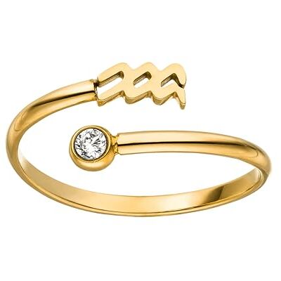 Purelei ® Anello con segno zodiacale – Anello da donna impermeabile in acciaio inox durevole – Anelli regolabili da 50 a 60 – Gioielli alla moda per il tuo look personalizzato Purelei ® Anello con segno zodiacale – Anello da donna impermeabile in acciaio inox durevole – Anelli regolabili da 50 a 60 – Gioielli alla moda per il tuo look personalizzato