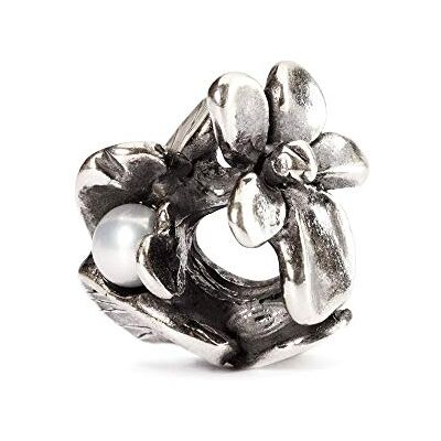 Trollbeads Bead, Argento Sterling 925, Donna Trollbeads Bead, Argento Sterling 925, Donna