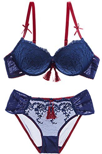 WENJUNneiyi WENJUN Sexy Intimo Ricamo Pizzo Set Reggiseno Regolabile Grande Petto Raccogliere Reggiseno 3 Colori Opzionale (Colore : Blu, dimensioni : 36C/80C with L underwear)