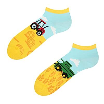 Dedoles calzini divertenti Unisex Donna e Uomo Bambini Cotone Design buffi traspirante, ipoallergenico, Bambù, regalo natale, motivi colorati, calzini divertenti, gatti, avocado unicorno, cotone Dedoles calzini divertenti Unisex Donna e Uomo Bambini Cotone Design buffi traspirante, ipoallergenico, Bambù, regalo natale, motivi colorati, calzini divertenti, gatti, avocado unicorno, cotone