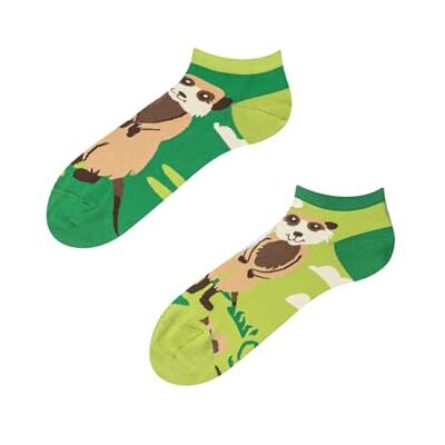 Dedoles calzini divertenti Unisex Donna e Uomo Bambini Cotone Design buffi traspirante, ipoallergenico, Bambù, regalo natale, motivi colorati, calzini divertenti, gatti, avocado unicorno, cotone Dedoles calzini divertenti Unisex Donna e Uomo Bambini Cotone Design buffi traspirante, ipoallergenico, Bambù, regalo natale, motivi colorati, calzini divertenti, gatti, avocado unicorno, cotone