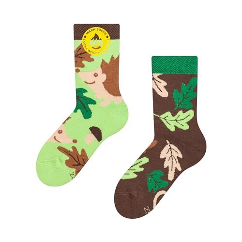 Dedoles Calzini Unisex Donna Uomo & Bambini Calze Cotone con tanti Design divertenti sinistra destra diversi, colore: Verde, disegno: Riccio e foglie (caldi), taglia: 27-30