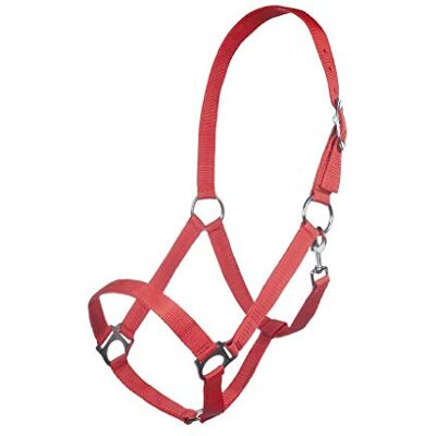 HKM Lemmy Calzini da Equitazione, Marrone/Azzurro, 42 Unisex-Adulto HKM Lemmy Calzini da Equitazione, Marrone/Azzurro, 42 Unisex-Adulto