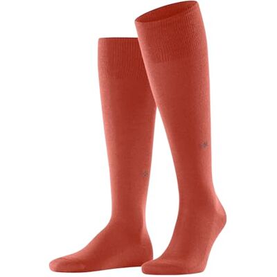 Burlington Leeds M KH Baumwolle Wolle Lang Einfarbig Calze al Ginocchio, Giallo Sunset 8038, 40-46 Uomo Burlington Leeds M KH Baumwolle Wolle Lang Einfarbig Calze al Ginocchio, Giallo Sunset 8038, 40-46 Uomo