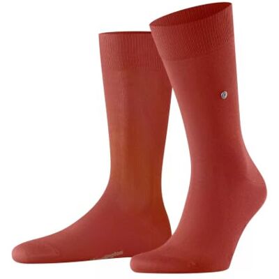 Burlington uomo Lord calzini cotone traspirante Burlington uomo Lord calzini cotone traspirante