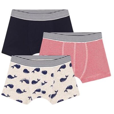 Petit Bateau A0dah Boxer Bambini e Ragazzi (Pacco da 3) Petit Bateau A0dah Boxer Bambini e Ragazzi (Pacco da 3)