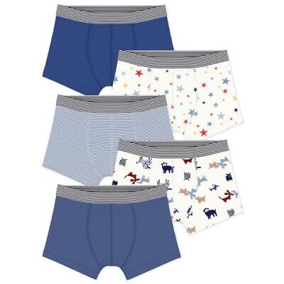 Petit Bateau Biancheria Intima Giorno Bambini e Ragazzi (Pacco da 5) Petit Bateau Biancheria Intima Giorno Bambini e Ragazzi (Pacco da 5)