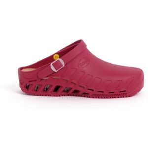 Scholl Clog Evo, Zoccoli Sanitari Medicali Unisex Adulto, Vino, 39/40 EU Scholl Clog Evo, Zoccoli Sanitari Medicali Unisex Adulto, Vino, 39/40 EU