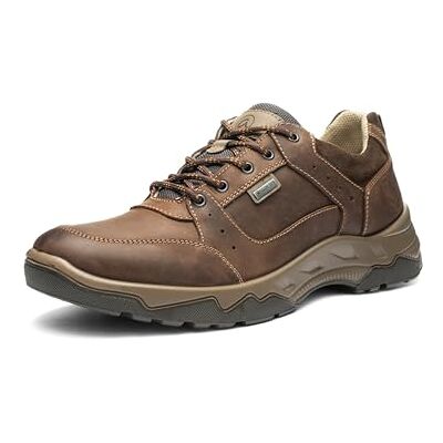 ARA Renzo-GTX, Scarpe da Ginnastica Uomo, Marrone Castagna Moro Tortora, 42 EU ARA Renzo-GTX, Scarpe da Ginnastica Uomo, Marrone Castagna Moro Tortora, 42 EU