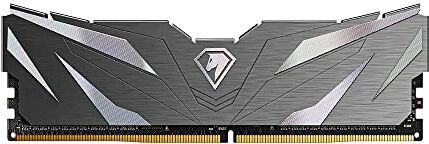 Netac DDR4 2666MHz 16GB, Memoria Desktop DDR4, DDR4 Memoria Kit, Memoria di Gioco 16GB, Con Dissipatore di Calore, Nero