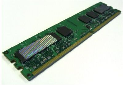 Hypertec 512MB PC2-6400 0.5GB DDR2 800MHz memory module memory modules (DDR2, PC/server, 240-pin DIMM, 1 x 0.5 GB, PC2-6400, DIMM)