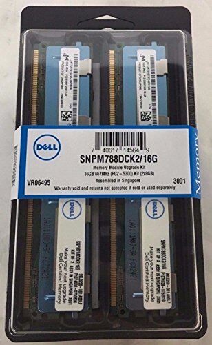 DEELL Dell SNPM788DCK2/16G DDR2 667 16 GB 4RX4 FBDIMM kit (8G X2)