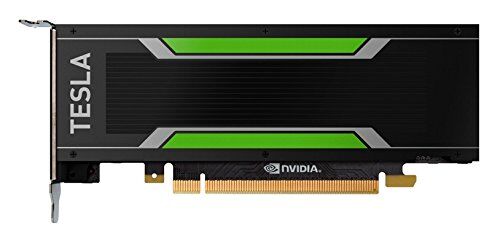 Dell Ricambio:  NVIDIA Tesla M4 GPU 4 GB Customer Kit, 490-BDHK (kit ustomer Kit)