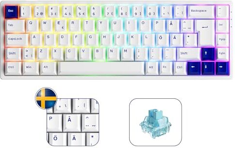 Akko 3068B Plus RGB Chroma Tastiera da gioco meccanica ISO-DE/Nordic, 3 modalità (BT5.0/2.4Ghz/Tipo C) Mini tastiera compatta con tasti Cherry PBT Double-Shot sostituibili a caldo (Jelly Blu)