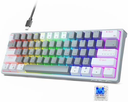 Aula 29 RGB 60% Wired PC Gaming Keyboard Meccanica, Mini Compact Micro Gaming Tastiere Piccolo, Hot Swap Tastiera Meccanica con Interruttori Blu, Bianco e Grigio