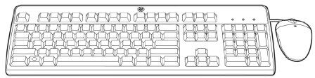 HP Usb Bfr-Pvc It Keyboard Mouse Kit