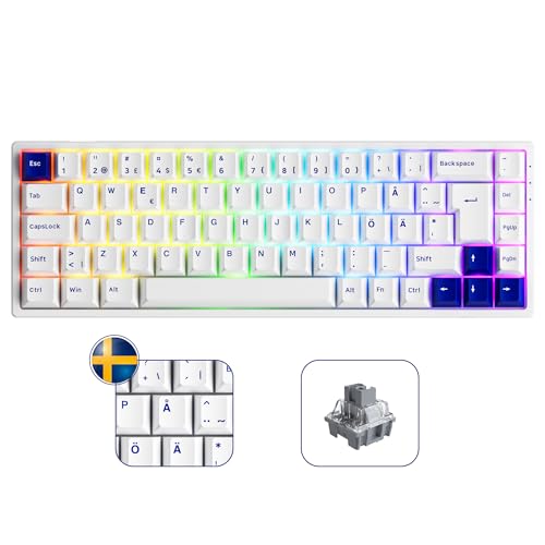 Akko 3068B Plus Tastiera da gioco meccanica RGB QWERTY layout ISO-DE/nordico, mini tastiera compatta USB C cablata/Bluetooth/2,4 GHz con hotswap, tasti Cherry Profile PBT, programmabile