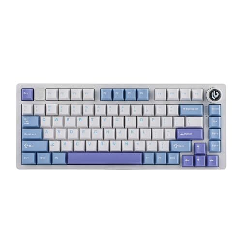 EPOMAKER x LEOBOG Hi75 Tastiera Meccanica in Alluminio, USB C Tastiera da Gioco, Programmabile, Gasket, Hot-Swap, con knob, NKRO per Win/Mac/Gamer (Nimbus V3 Switch, White Purple)
