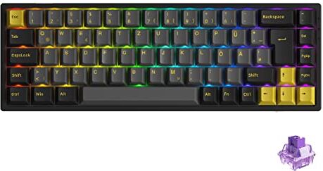 Akko Tastiera meccanica RGB, layout ISO-DE, tastiera di tipo C con 5 pin, tasti PBT Dye-Sub, macro programmabili (nero oro, switch tattile)