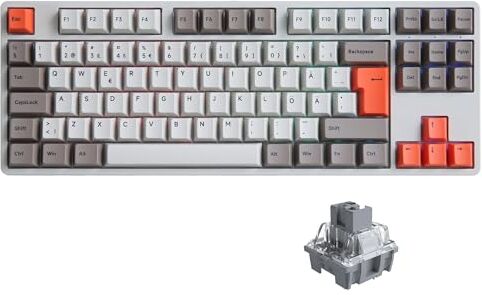 Akko 5087S Steam Engine ISO-DE/Nordic Layout RGB Tastiera da gioco meccanica cablata Hot Swapable Programmabile PBT Double-shot Cherry Keycaps Compatibile per Win/Mac