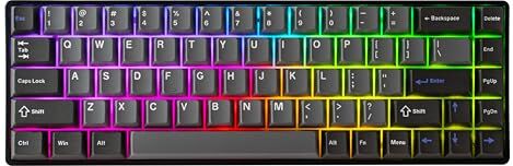 DrunkDeer G65 Rapid Trigger Tastiera meccanica Interruttori magnetici Gaming RGB PBT Keycap 65% dimensioni 68 tasti compatto Wired Anti-ghosting Nero