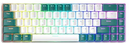 Zhixteu T8 60% Tastiera da Gioco Meccanica, Tastiera Cablata Mini Programmabile a 68 Tasti, Tastiera Retroilluminata RGB di Tipo C (Interruttore blu edizione Aqua)