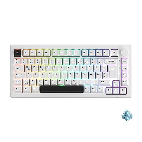 Akko 5075B Plus RGB Tastiera da gioco meccanica, Layout ISO-Regno Unito/Germania/Nordico 3 modalità (BT5.0/2.4Ghz/Type C) Tastiera compatta con Hotswap, tasti PBT con profilo Cherry, programmabile