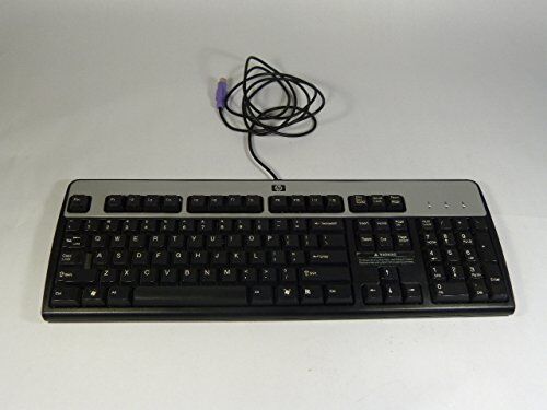 HP KB-0316 Tastiera per computer, colore: Nero/Argento