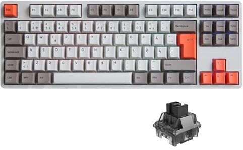 Akko 5087S Steam Engine ISO-DE/Nordic Layout RGB Tastiera da gioco meccanica cablata Hot Swapable Programmabile PBT Double-shot Cherry Keycaps, compatibile per Win/Mac (Jelly Nero)