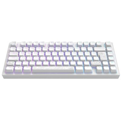 Pro-Ject ALU81A TERRA NOSTRA Tastiera meccanica da gioco ISO Multi Hot-Swap Interruttori ingrassati G3MS Moonstone Stabilizzatori ingrassati Supporto con guarnizione flessibile Pro-Ject ALU81A TERRA NOSTRA Tastiera meccanica da gioco ISO Multi Hot-Swap Interruttori ingrassati G3MS Moonstone Stabilizzatori ingrassati Supporto con guarnizione flessibile