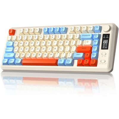 Free wolf FREEWOLF M75 Tastiera wireless dual-mode, Bluetooth+2.4G, controllo tramite manopola e display, 82 tasti compatti PBT con gradiente, luce arcobaleno,QWERTY, anti-ghosting completo per Mac/Win-Mirtillo Free wolf FREEWOLF M75 Tastiera wireless dual-mode, Bluetooth+2.4G, controllo tramite manopola e display, 82 tasti compatti PBT con gradiente, luce arcobaleno,QWERTY, anti-ghosting completo per Mac/Win-Mirtillo