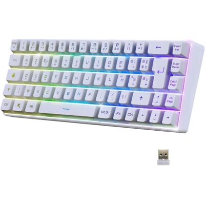 EMPIRE GAMING K508 Clavier Gaming Sans Fil Compact TKL 65% (AZERTY FR) via 2.4G/ Type-C Compatible Console de Jeu/PC/Mac RGB 68 Touches 23 Touches Anti-Ghosting Bianco EMPIRE GAMING K508 Clavier Gaming Sans Fil Compact TKL 65% (AZERTY FR) via 2.4G/ Type-C Compatible Console de Jeu/PC/Mac RGB 68 Touches 23 Touches Anti-Ghosting Bianco