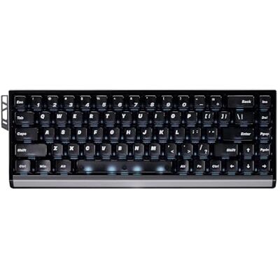 ATK Tastiera da gioco 68 RX effetto Hall, 65% Esports a 68 tasti, azionamento magnetico regolabile da 0,005 a 3,3 mm in passi da 0,001 mm, montaggio su vassoio con piastra in alluminio (nero ATK Tastiera da gioco 68 RX effetto Hall, 65% Esports a 68 tasti, azionamento magnetico regolabile da 0,005 a 3,3 mm in passi da 0,001 mm, montaggio su vassoio con piastra in alluminio (nero