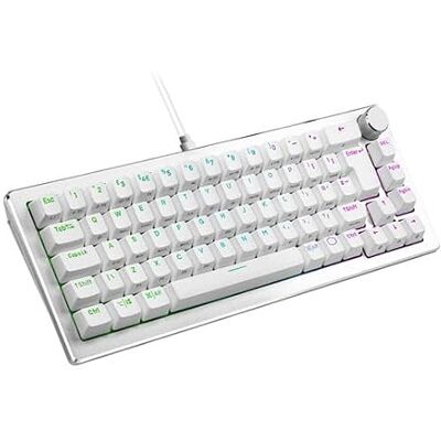 Cooler Master CK720 65% Hot Swappable USB Tastiera da gioco meccanica Bianco Argento Cooler Master CK720 65% Hot Swappable USB Tastiera da gioco meccanica Bianco Argento