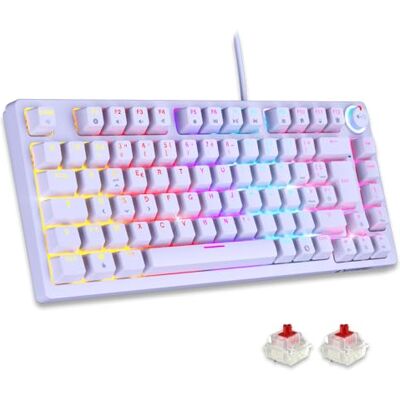 EMPIRE GAMING K248 Tastiera Gaming Wired Switch Meccanico MX Red (FR AZERTY) Tipo C per PC/PS4/PS5/Xbox Retroilluminazione RGB 82 Tasti 26 Tasti Anti-Ghosting (Bianco) EMPIRE GAMING K248 Tastiera Gaming Wired Switch Meccanico MX Red (FR AZERTY) Tipo C per PC/PS4/PS5/Xbox Retroilluminazione RGB 82 Tasti 26 Tasti Anti-Ghosting (Bianco)