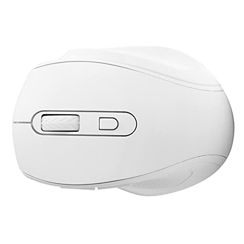 Bewinner Mouse Wireless da 2,4 Ghz, Mouse Ergonomico DPI a Tre Livelli Regolabile, Mouse Wireless da Ufficio/Gaming con Chip a Ritorno Elevato 250Hz, Accessori per Computer (#1)