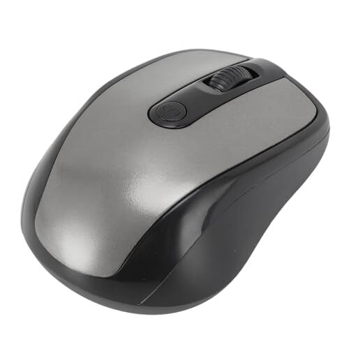 Generic Mouse Wireless 2.4G per Computer Mouse Ottico Wireless Ergonomico da 2.4GHz Controllo Preciso per PC (SILVER)