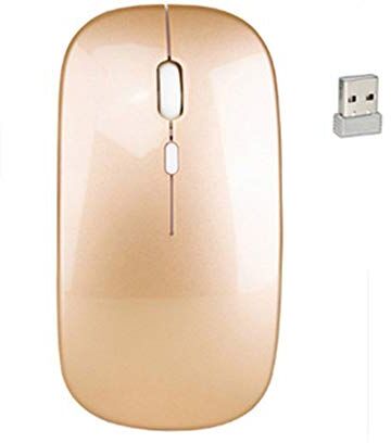 Generic Mouse wireless ricaricabile, mouse wireless portatile sottile e silenzioso da 2,4 G, mouse ergonomico senza fili con ricevitore USA compatibile con PC portatile e notebook. (oro locale)